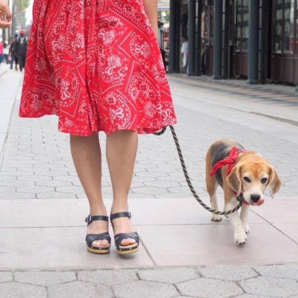 Meet your Posher, Connie